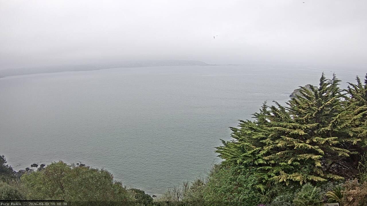 Vue mer en direct de la station