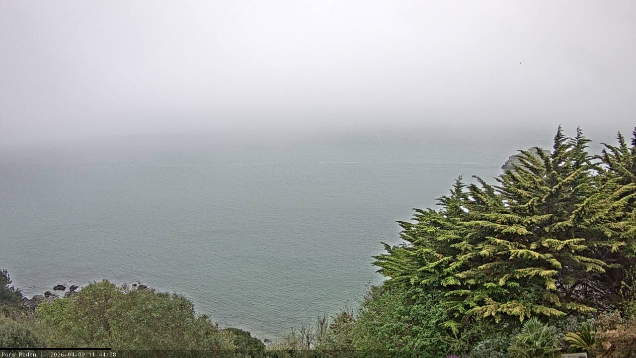 Vue mer en direct de la station